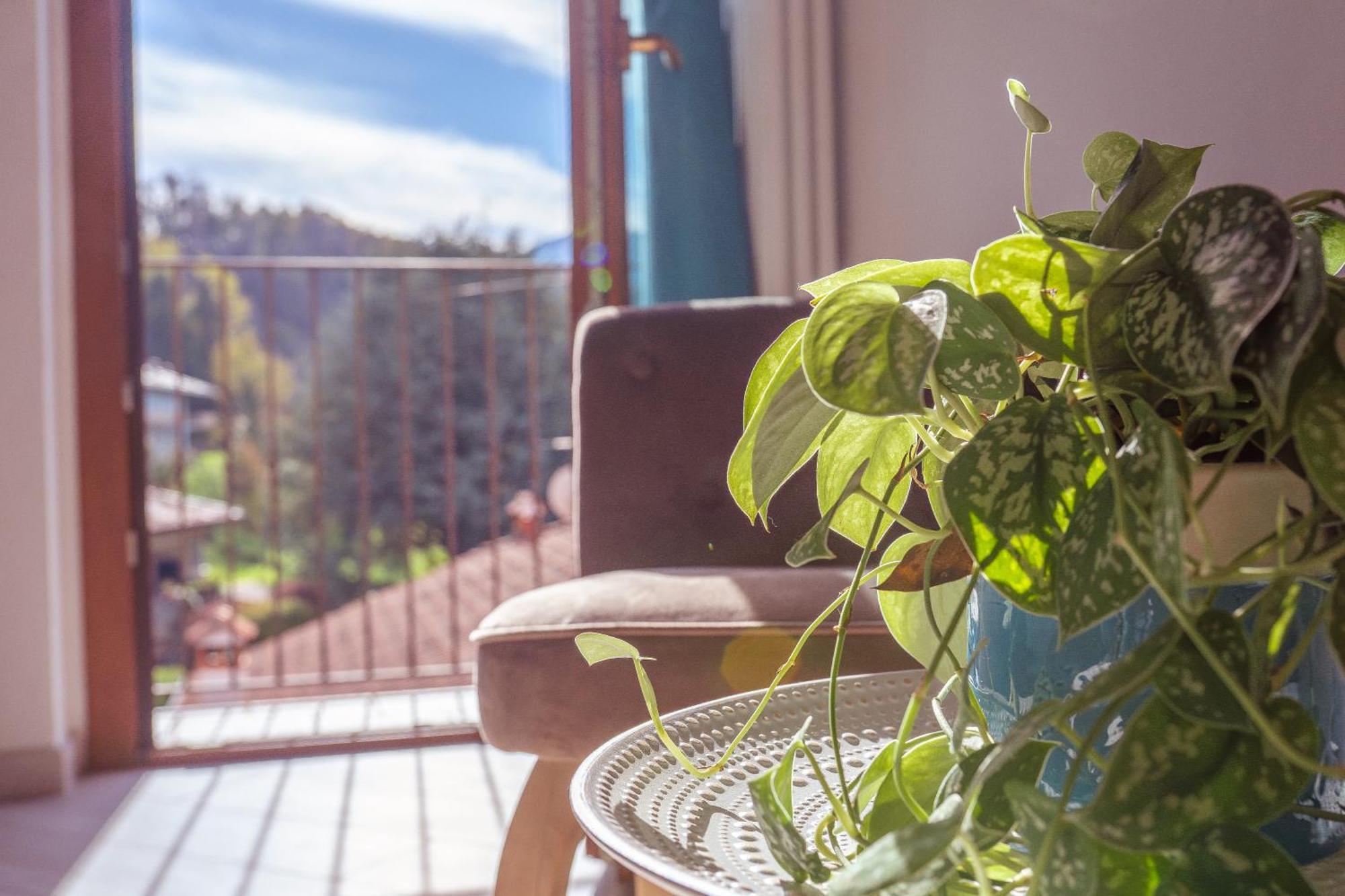 Larius Apartment - Como Lake View Манделло-дель-Ларіо Екстер'єр фото