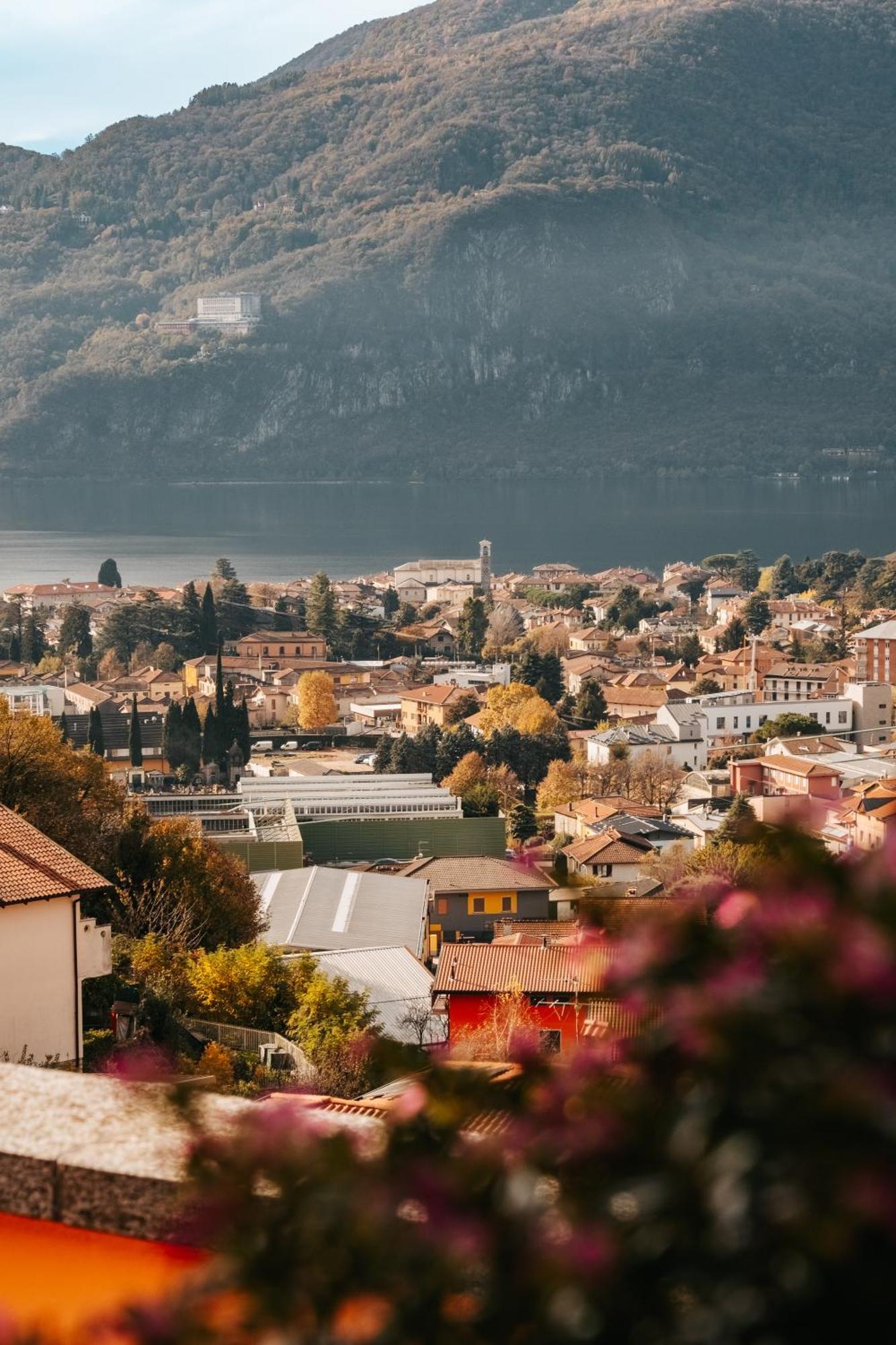 Larius Apartment - Como Lake View Манделло-дель-Ларіо Екстер'єр фото